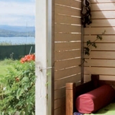 Профессиональные краски для дерева ADLER Lignovit